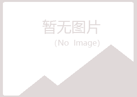 五大连池山柏化学有限公司